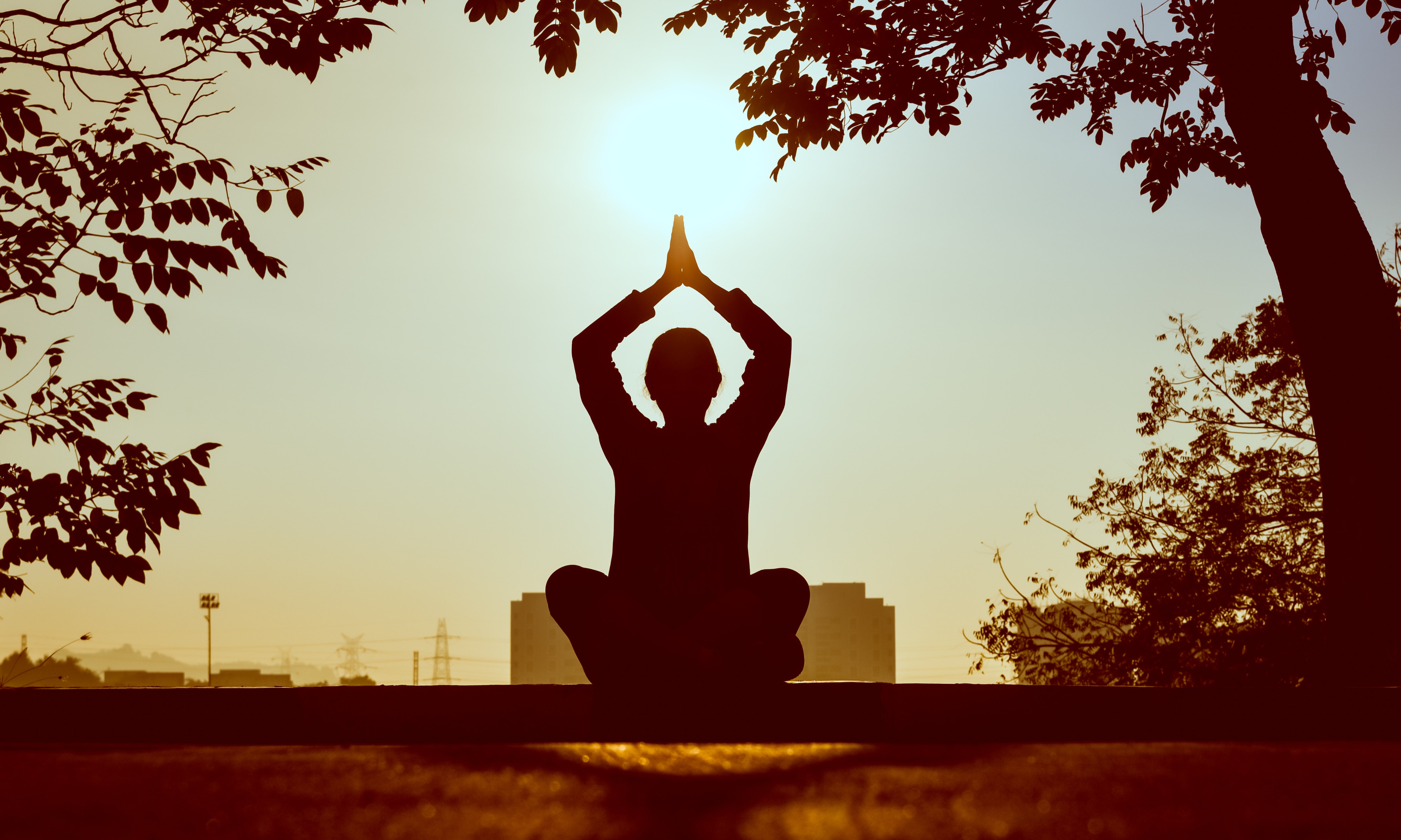 Dalla Meditazione alla Mindfulness