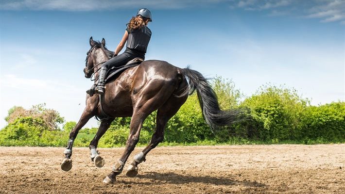 Equitazione e mental training Equitazione e mental training
