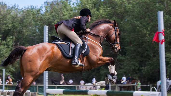 Equitazione e mental training